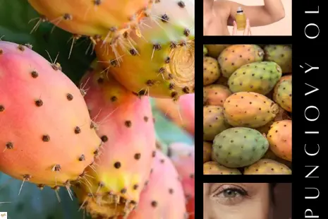 Opunciovy olej z kaktusu
